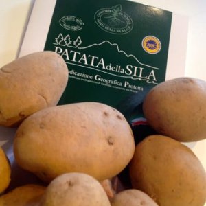Calabrian Mountains Potatoes (Sila) IGP