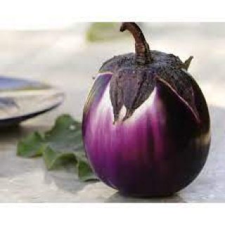 Round Eggplant