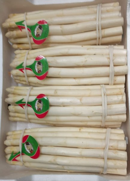 Asparagi Bianchi - White Asparagus caliber 16-20