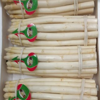 Asparagi Bianchi - White Asparagus caliber 16-20