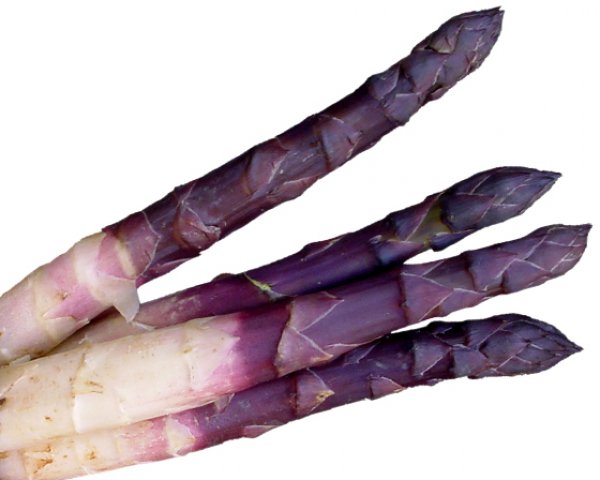 Violet Albenga Asparagus 500gr