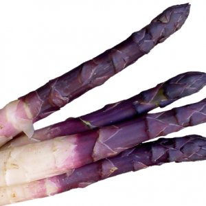 Violet Albenga Asparagus 500gr