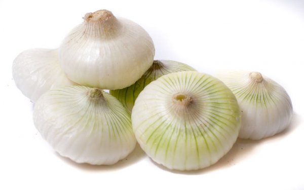 White Spring Onion