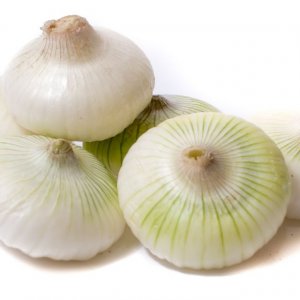 White Spring Onion