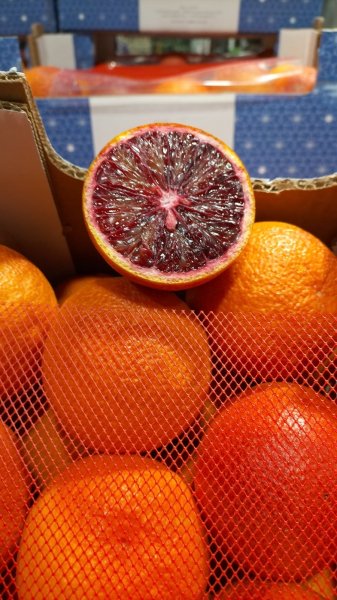 Blood Organic Moro Orange from Sicily