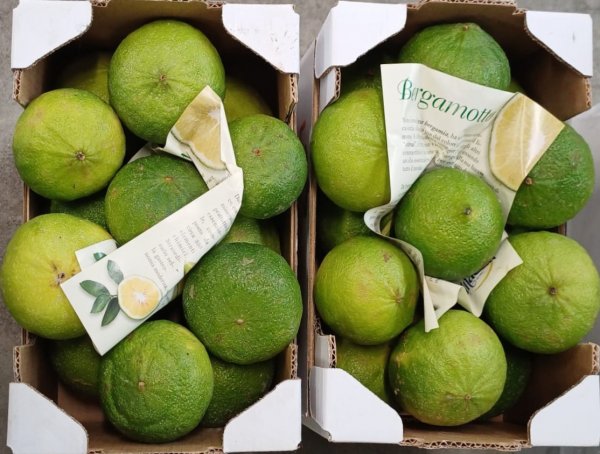 Bergamot