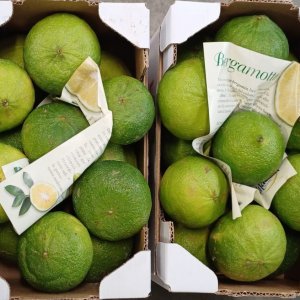 Bergamot