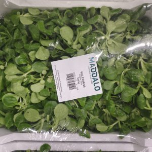 Valeriana Salad 1Kg box