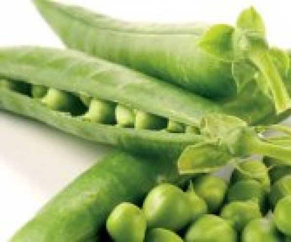 豌豆(圓身/扁身)