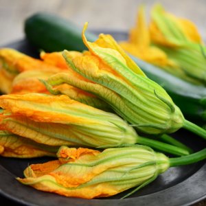 Zucchini Flower